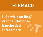 TELEMACO Il Servizio on line di consultazione banche dati Infocamere